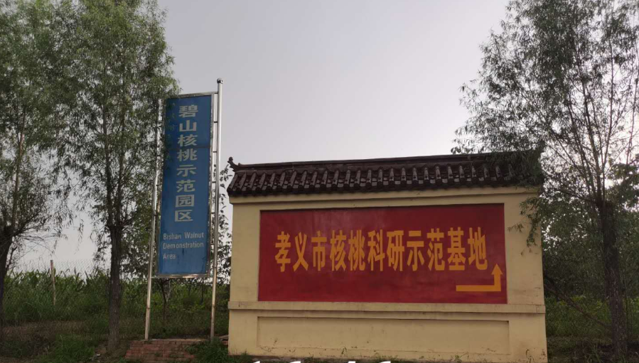 孝義農(nóng)產(chǎn)品大市場(chǎng)丨力爭(zhēng)讓孝義核桃插上翅膀，飛向全國(guó)！