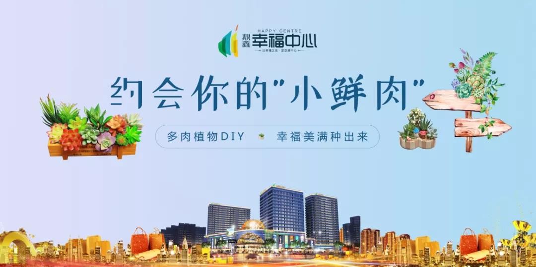 約會(huì)你的“小鮮肉” 多肉植物DIY，幸福美滿(mǎn)種出來(lái)