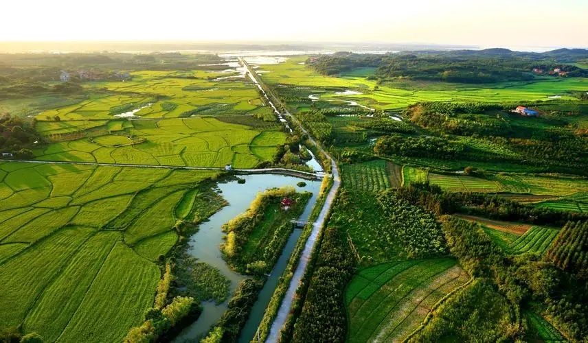 鄉(xiāng)村振興背景下，有機(jī)農(nóng)業(yè)3.0時(shí)代的思考