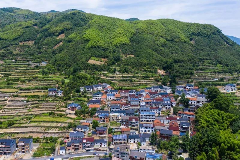 老鄉(xiāng)！別錯(cuò)過(guò)今年這些惠農(nóng)好政策