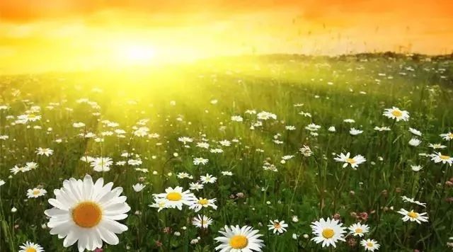 農(nóng)業(yè)農(nóng)村部：鄉(xiāng)村振興5年內(nèi)投7萬(wàn)億