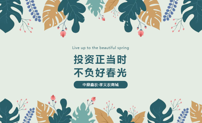 孝義唯一大產(chǎn)權(quán)的農(nóng)批商鋪，投資有保障！